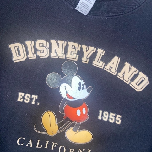Kids custom made Disneyland sweater - Picture 3 of 4